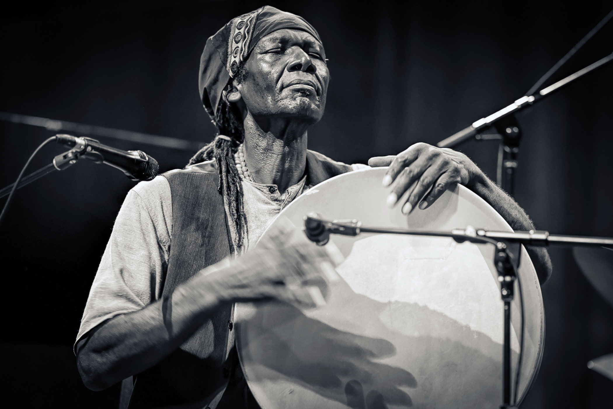 Hamid_Drake_by_Michael_Jackson.jpg