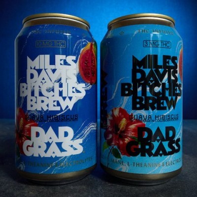 DadGrass2.jpg